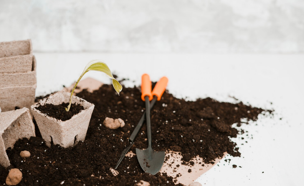  Грунты и субстраты: в чем разница?